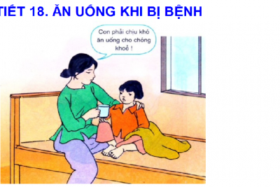 Bài giảng khoa học- Khối 4 năm học 2018- 2019